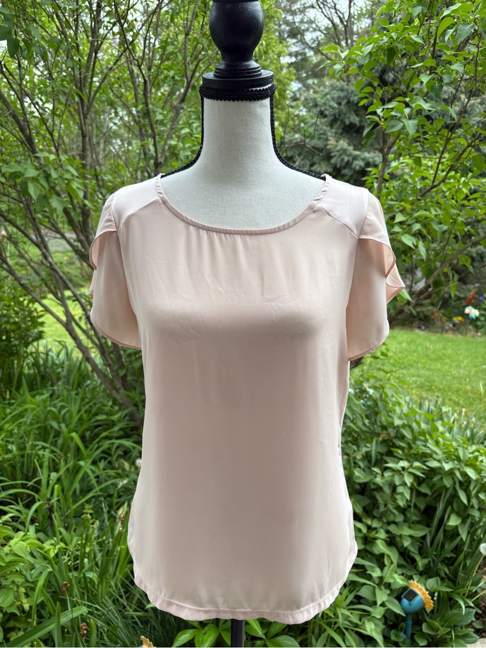 Size Small The Limited Blush Pink Short Sleeve Blouse